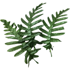  Páfrány levél 20cm dekorációs kellék