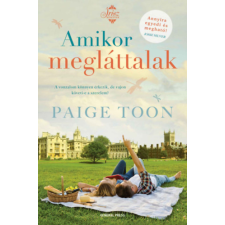 Paige Toon - Amikor megláttalak regény