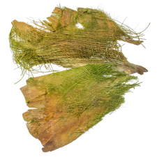  Pálma rost vil.zöld 25dkg/csom dekorációs kellék