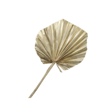  Pálmalevél S/10 dekorációs kellék