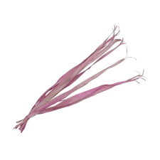  Pálmalevél szárított köteg 80-95 cm S/10 dekorációs kellék