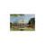 Palram - Canopia Multiline 6x10