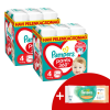 Pampers Pants 2 havi Pelenkacsomag 9-15kg Maxi 4 (352db) + Ajándék Törlőkendő