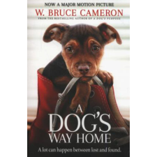 Pan MacMillan A Dog's way home regény
