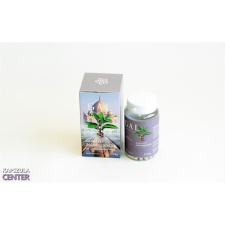 Panda Nutrition GAL Ashwagandha [60 kapszula] vitamin és táplálékkiegészítő