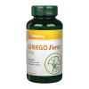 Panda Nutrition Vitaking Ginkgo Forte  [90 kapszula]