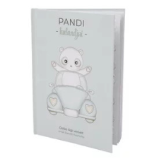 Pandi kalandjai mesekönyv gyermek- és ifjúsági könyv