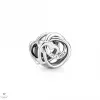 Pandora A család mindig körbezár charm - 791507C00