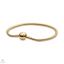Pandora karkötő 17 cm - 568748C00-17 karkötő