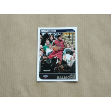 Panini 2014-15 Hoops #122 John Salmons gyűjthető kártya