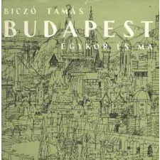 Panoráma Budapest egykor és ma antikvárium - használt könyv