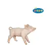  Papo: Koca