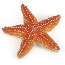 Papo Tengeri csillag  Ajánlott3-99 éves korig unisex (08398) játékfigura