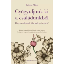 Park Gyógyuljunk ki a családunkból egyéb e-könyv