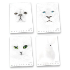 Pátria Nyomda Pigna: Monocromo White vonalas füzet, A4 - többféle füzet