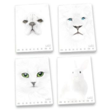 Pátria Nyomda Pigna: Monocromo White vonalas füzet, A4 - többféle füzet