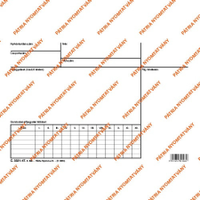 Pátria Nyomtatvány Leletboríték 210x154 mm boríték