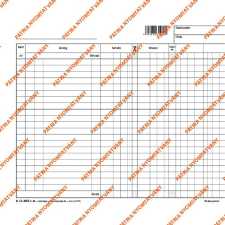 Pátria Nyomtatvány Számlalap 248x210 mm nyomtatvány