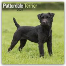  Patterdale Terrier 2024 - 16-Monatskalender naptár, kalendárium