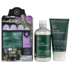 Paul Mitchell - Tea Tree Lavender Mint Gift Set (Sampon 300ml + Deep Conditioning Mineral Hair Mask 150ml)