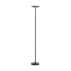 Paul Neuhaus Leuchten Direkt HANS 11729-18 állólámpa, 1x22W LED, 3000K, 2500 lm