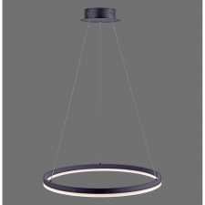 Paul Neuhaus Titus LED-es függőlámpa Antracit 60 cm átmérő világítás