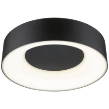 Paulmann (71096) Casca LED-es mennyezeti lámpa LED 16 W Fekete (matt) (71096) világítás
