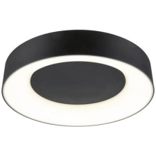 Paulmann (71097) Casca LED-es mennyezeti lámpa LED 23 W Fekete (matt) (71097) világítás