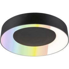 Paulmann 75416 Mennyezeti lámpa 20 W Fekete (matt) (75416) világítás