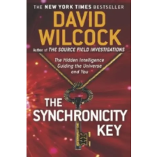 Penguin Publishing Group Synchronicity Key | David Wilcock egyéb könyv
