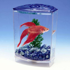 PENN PLAX Műanyag akvárium BETTA 10x10x15cm+növény+kavics sziámi harcoshalaknak akvárium