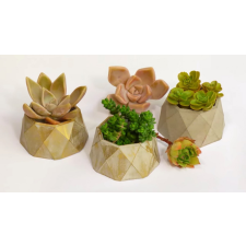 Pentart Szilikon öntőforma - szukkulens tartó dekorációs kellék