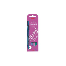 Pentel Brush Sign Kalligrafikus ecsetirón készlet - Vegyes színek (4 db / csomag) (SES15B-4) filctoll, marker