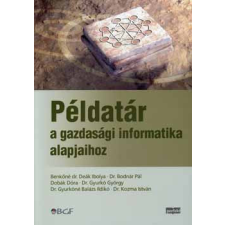 Perfekt Példatár a gazdasági informatika alapjaihoz - Dr. Benkőné Deák Ibolya; Dr. Bodnár Pál antikvárium - használt könyv