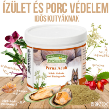 PerNaturam GmbH Porc- és ízületvédő komplex idős kutyáknak 100 g, PerNaturam vitamin, táplálékkiegészítő kutyáknak