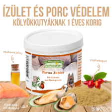 PerNaturam GmbH Porc- és ízületvédő komplex kölyökkutyáknak 100 g, PerNaturam vitamin, táplálékkiegészítő kutyáknak