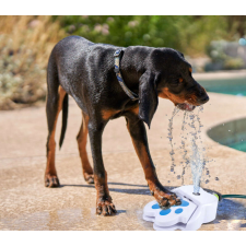 Pet Treatment Pet Treatment Önitató ivókút kutyáknak kutyatál