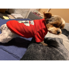 PetGear Kutyaruha - Mickey és Minnie pulóver - Piros - M kutyaruha