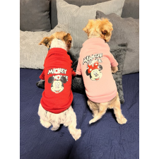 PetGear Kutyaruha - Mickey és Minnie pulóver - Rózsaszín - L kutyaruha