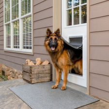 PETSAFE HŐSZIGETELT KUTYAAJTÓ - Alumínium keretes - Extra NAGYMÉRETŰ /Lengőajtó: 34,5cm X 61cm/ kutyaajtó