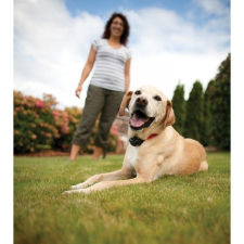 PETSAFE kutyakerítés közepes méretű és kistestű kutyáknak kutyafelszerelés