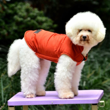  Petsoo kutyamellény vékony testű kutyáknak, narancssárga, XL-es kutyaruha