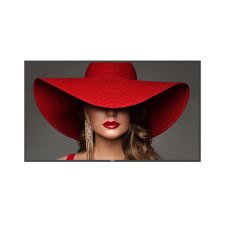 Philips 65BDL4650D monitor