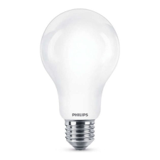 Philips LED izzó E27 A67 13W = 120W 2000lm 6500K Cold PHILIPS izzó