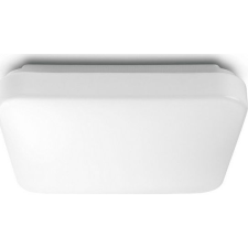 Philips MAUVE 4000K LED CEILING Square 17W 31110/31/P3 (915004575603) világítás