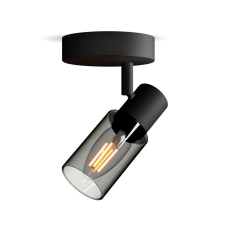 Philips Palms Philips-8720169299276 spotlámpa világítás