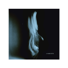 PIAS Tom Odell - A Wonderful Life (Vinyl LP (nagylemez)) rock / pop