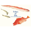 PIE INTL INC Fishes of EDO