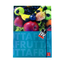 PIGNA : Fruits gyümölcsös A4 irattartó doboz - Kék vegyes gyümölcs mappa