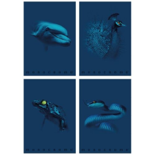 PIGNA Füzet Pigna Monocromo Blue A/4 tűzött 38 lapos kockás füzet